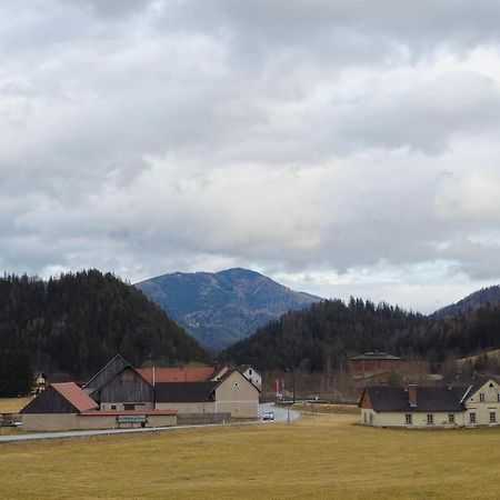Apartament Haus Schweighofer Neuberg an der Mürz Zewnętrze zdjęcie